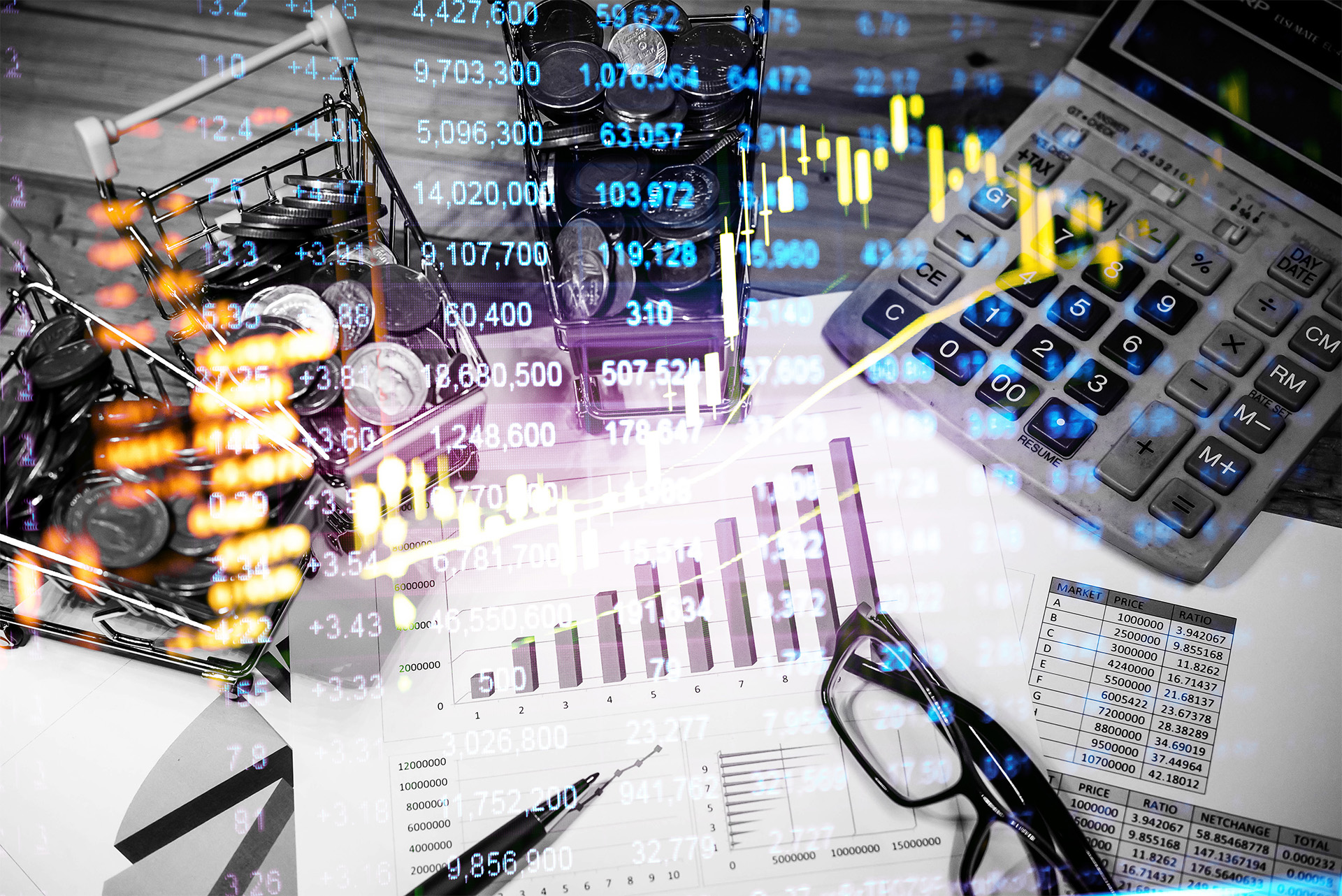 Investing Rayner Adviser